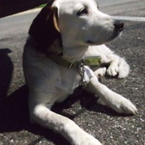 Meet your Posher, Derek